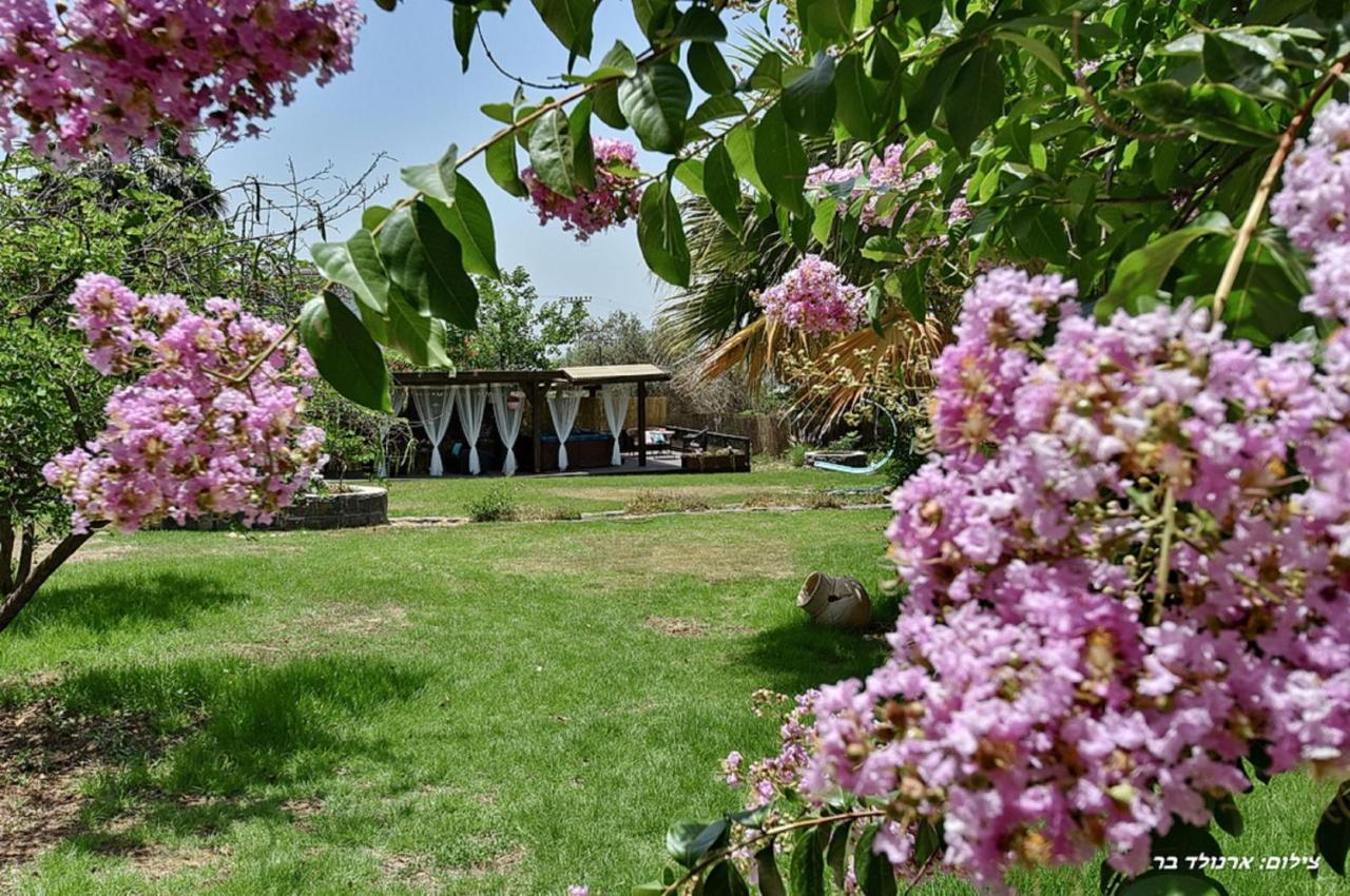 Golana Villa Рош Пина Екстериор снимка